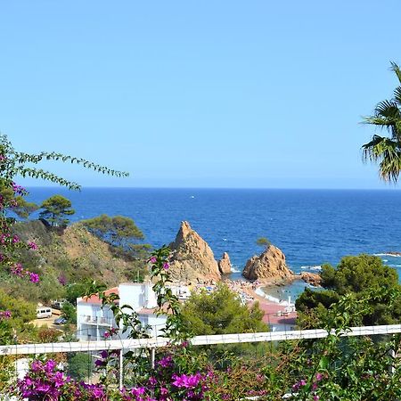 Blanca Paloma - Holiday House Villa ตอสซาเดมาร์ ห้อง รูปภาพ